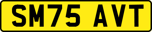 SM75AVT
