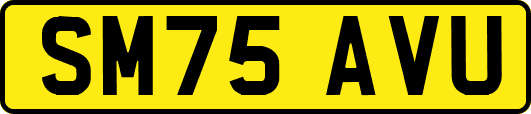 SM75AVU