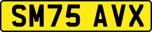 SM75AVX
