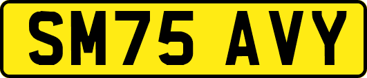 SM75AVY