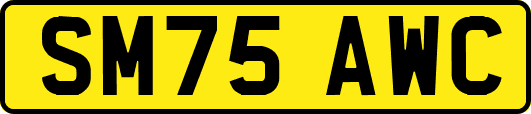 SM75AWC