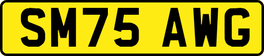 SM75AWG