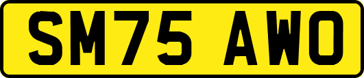 SM75AWO
