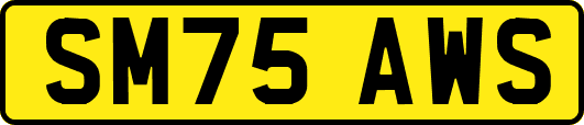 SM75AWS