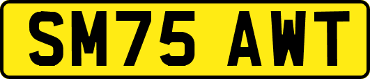 SM75AWT