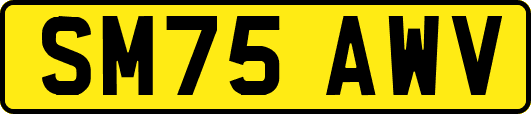 SM75AWV