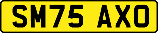 SM75AXO