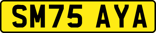 SM75AYA