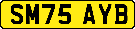 SM75AYB