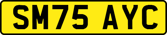 SM75AYC