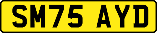 SM75AYD