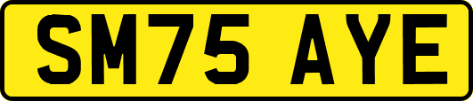 SM75AYE