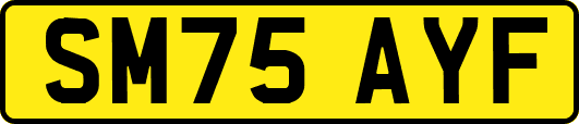SM75AYF
