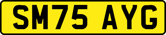 SM75AYG