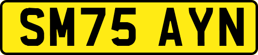 SM75AYN