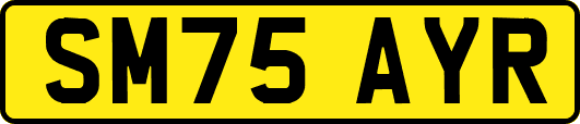 SM75AYR