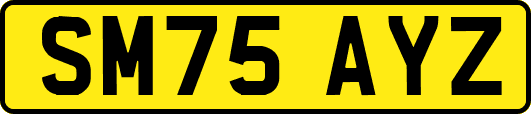 SM75AYZ