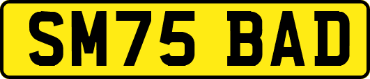 SM75BAD
