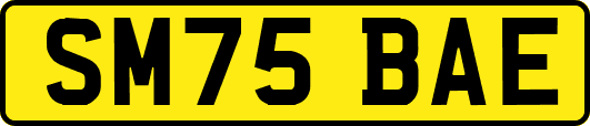 SM75BAE