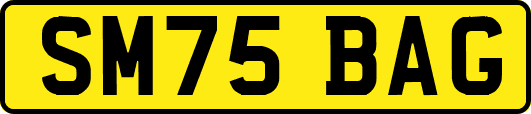 SM75BAG
