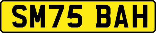 SM75BAH