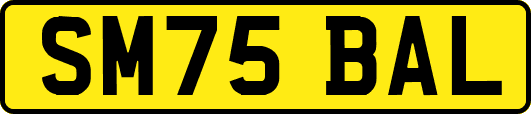 SM75BAL