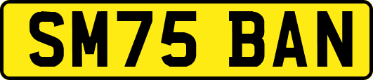 SM75BAN