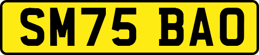 SM75BAO