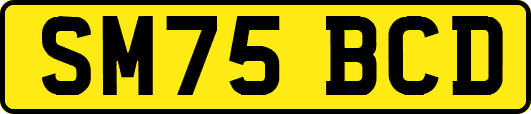 SM75BCD