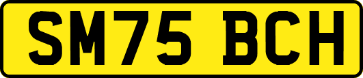 SM75BCH