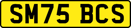 SM75BCS