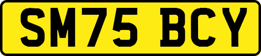SM75BCY