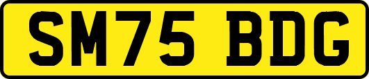 SM75BDG