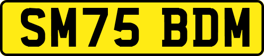 SM75BDM