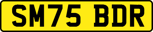 SM75BDR