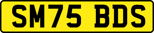 SM75BDS