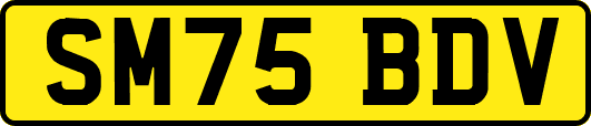 SM75BDV