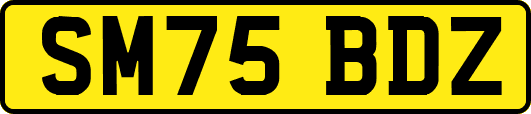 SM75BDZ