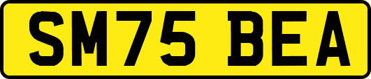 SM75BEA