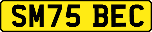 SM75BEC