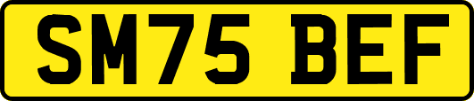 SM75BEF