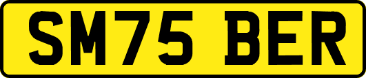 SM75BER