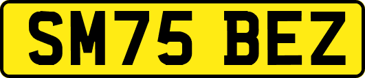 SM75BEZ