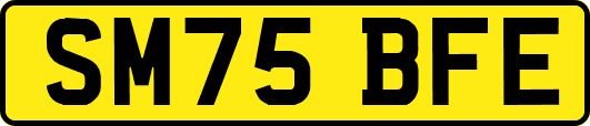 SM75BFE
