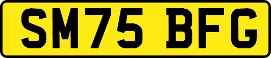 SM75BFG