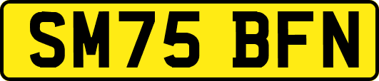 SM75BFN