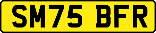 SM75BFR