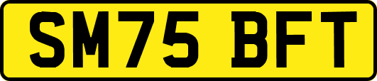 SM75BFT