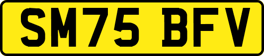 SM75BFV