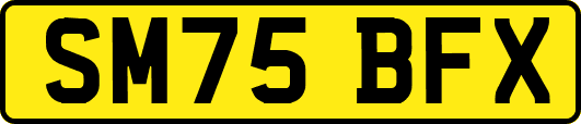SM75BFX
